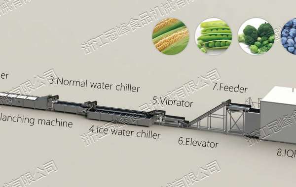 Using Machine to Drying Fruits and Vegetables