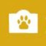 Pet Memorial Stones