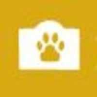 Pet Memorial Stones