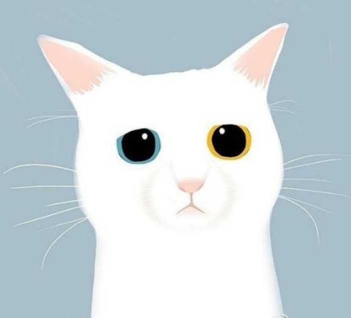 jingeaoningbo