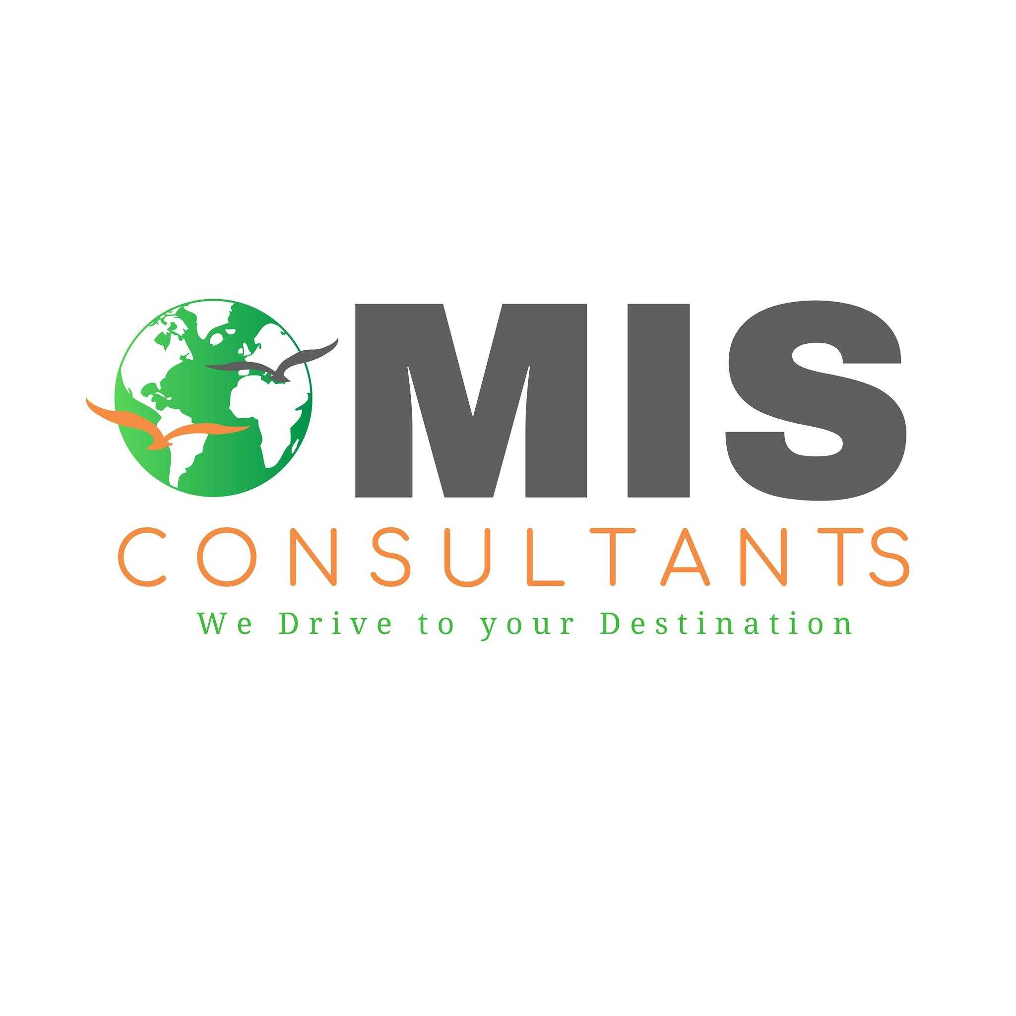 MISConsultants