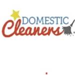 Domestic Cleaning London