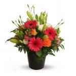 CBD Florist