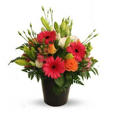 CBD Florist