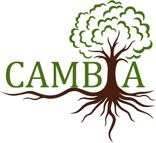 Garden Landscaping luton - Landscape Gardeners Dunstable - Cambia