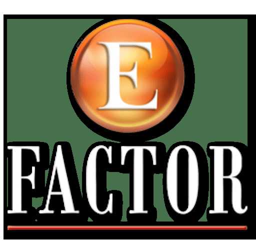E Factor