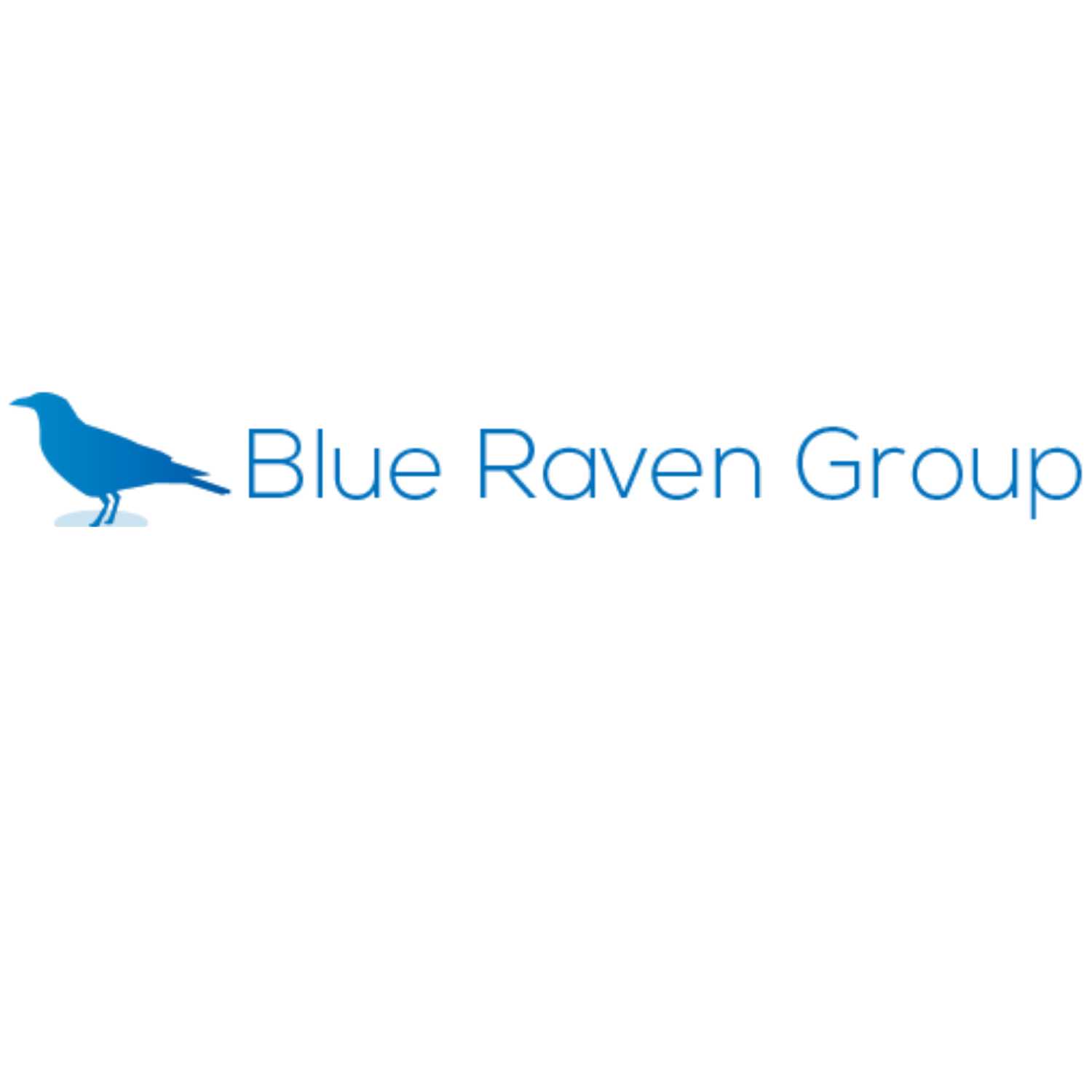 Blue Raven Group