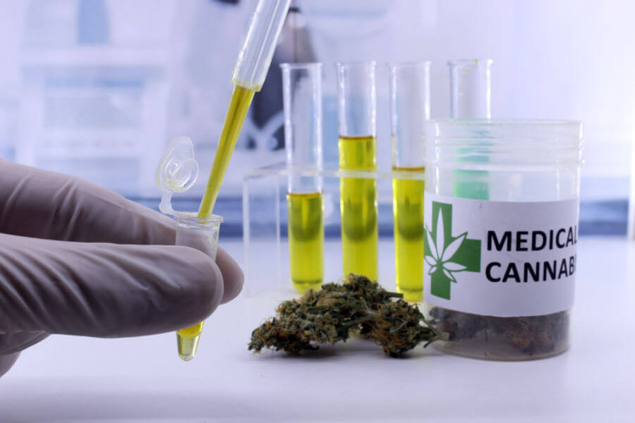 The Little Health Company  (How can CBD Oil help in Pain Relief?)