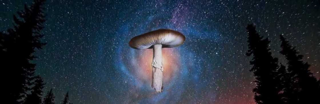 Magic Mushrooms Canada