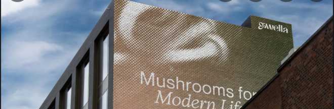 Gwella Mushrooms