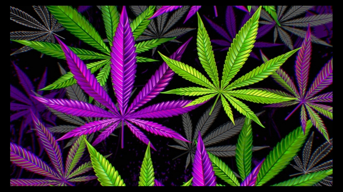 Best THC Detox (Top-Rated THC Cleansing Kits, Products and Methods)