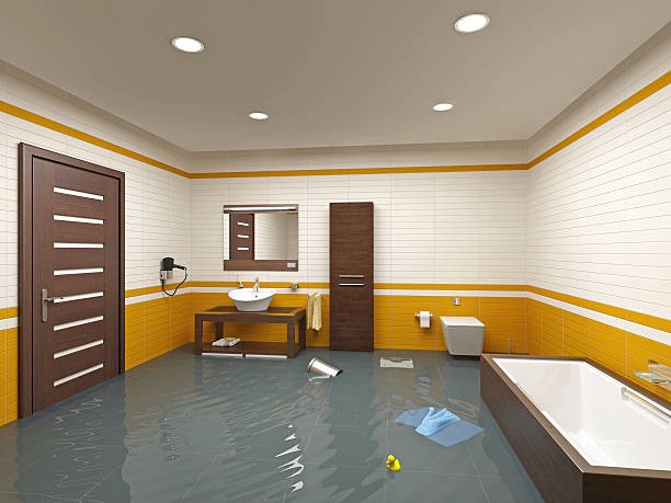 What Are Best Ways To Get Rid of Musty Smells After Water Damage | by United Carpet Cleaning | Nov, 2022 | Medium