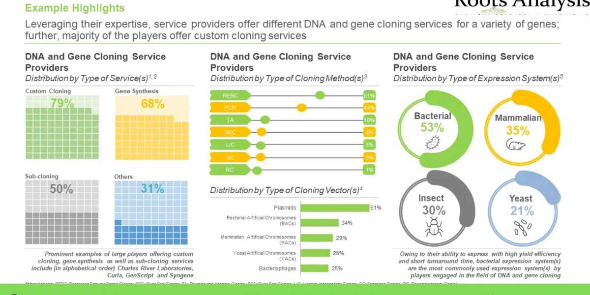 The DNA and gene cloning services market is anticipated to grow at a CAGR of over 15% by 2035