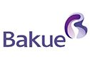 China building material supplier,provide all in one solution - BAKUE