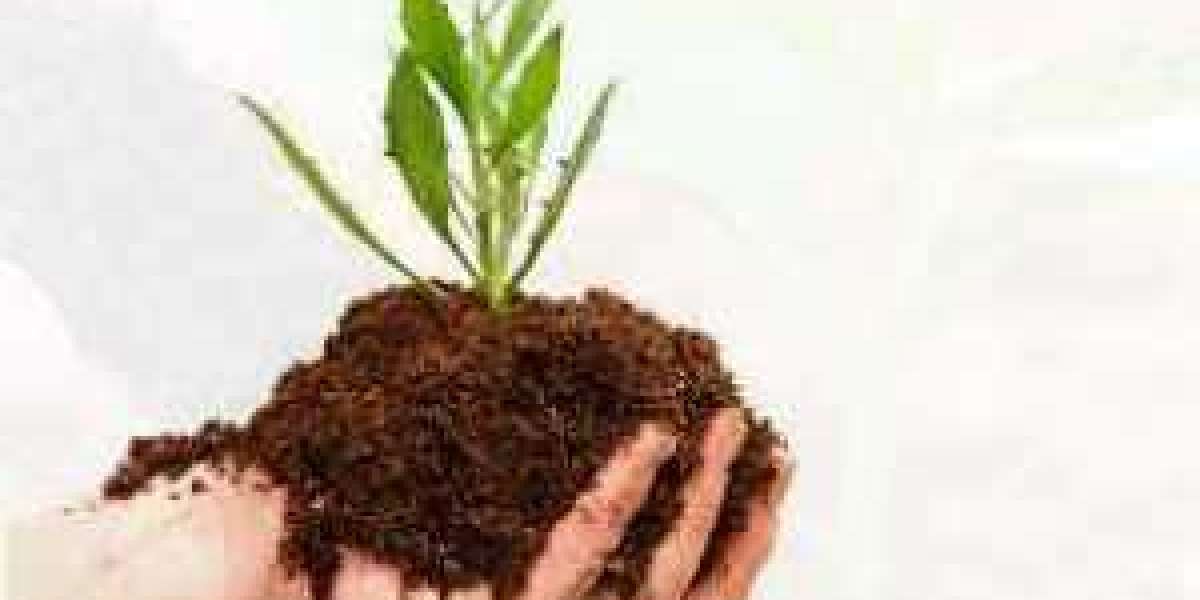 Soil Conditioner Market Size and Share Analysis to 2029