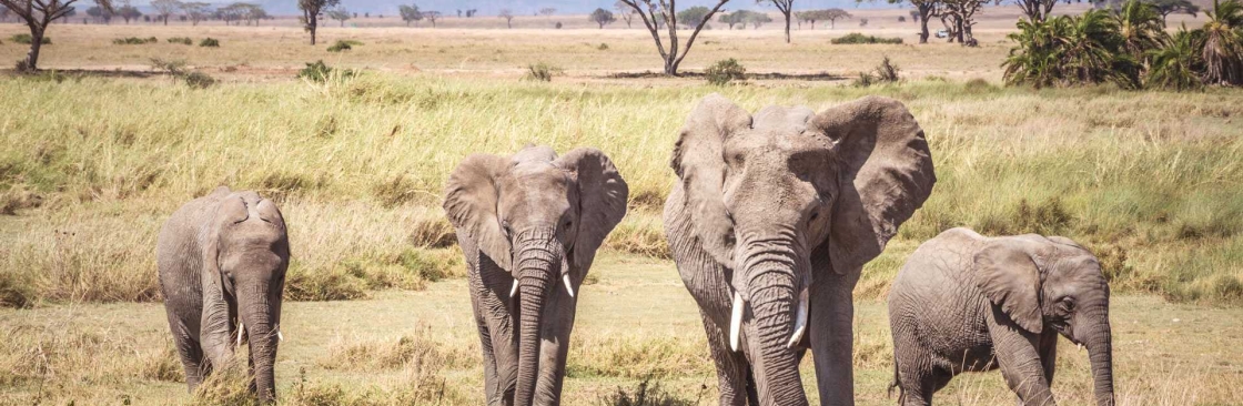 Kenya Tanzania