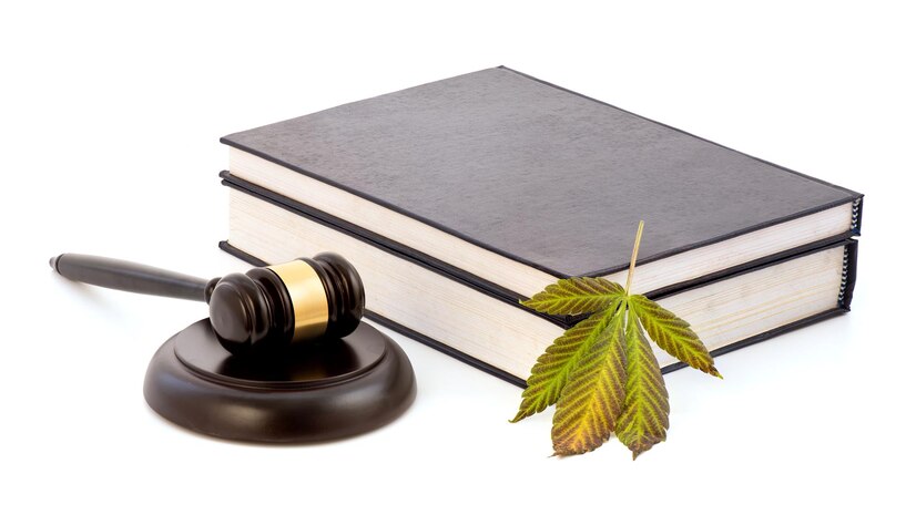 Top 5 Tips To Find A Marijuana Lawyer | Eric Thole Attorney at Law