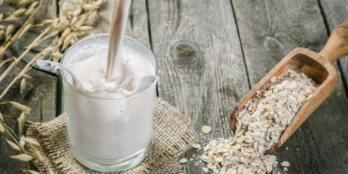 Oat Milk Market Insight, Segments and Dynamics Analysis by 2021-2028