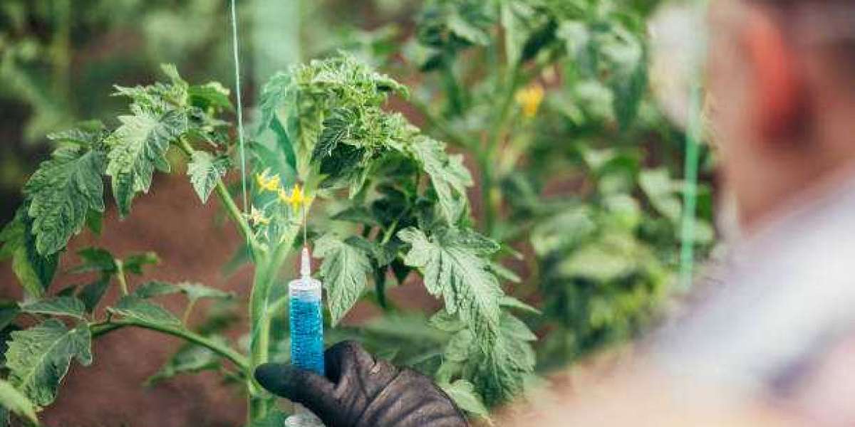 Biorational Pesticides Market Size, Present Scenario and Growth Prospects, Competition, Opportunities and Challenges for