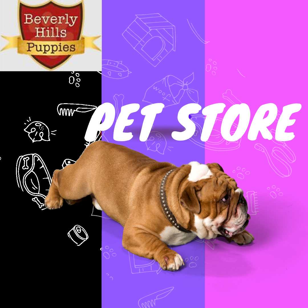 BeverlyHills Puppies