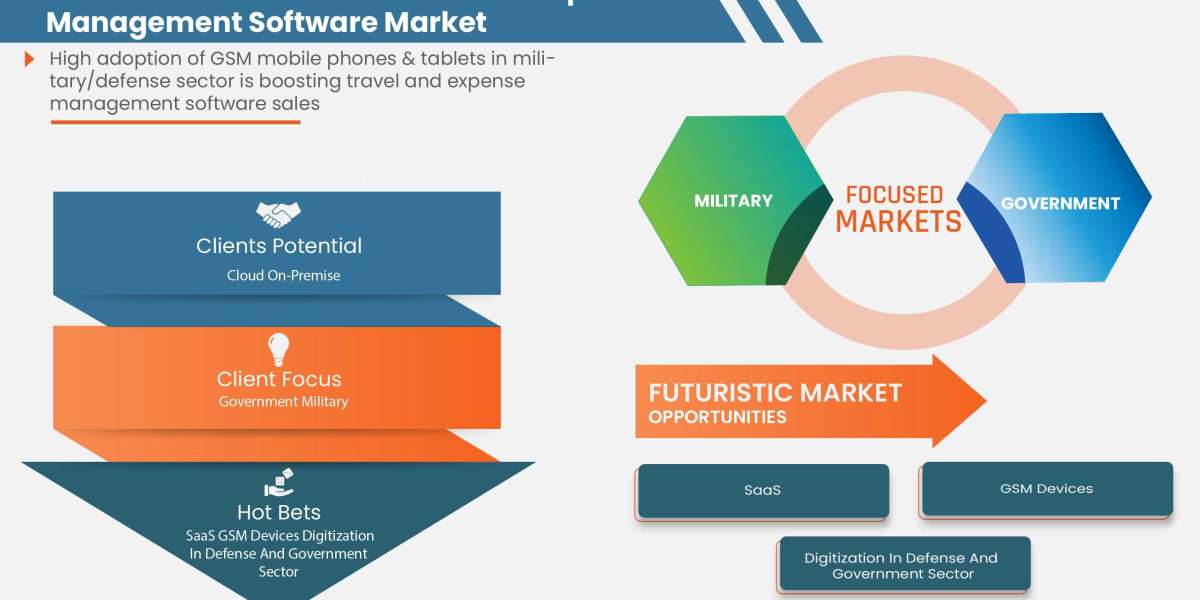 Middle East and Africa Travel and Expense Management Software Market Applications, Products