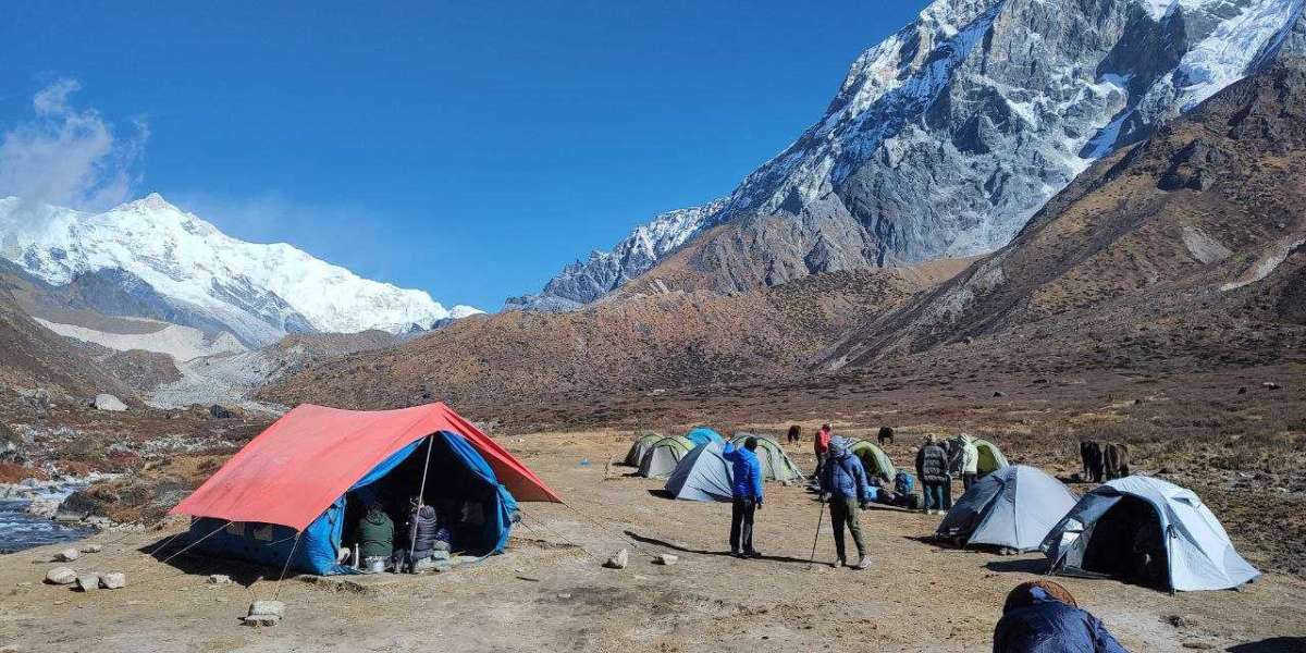 Hiking the Goechala Trek: A Journey to the Heart of the Himalayas