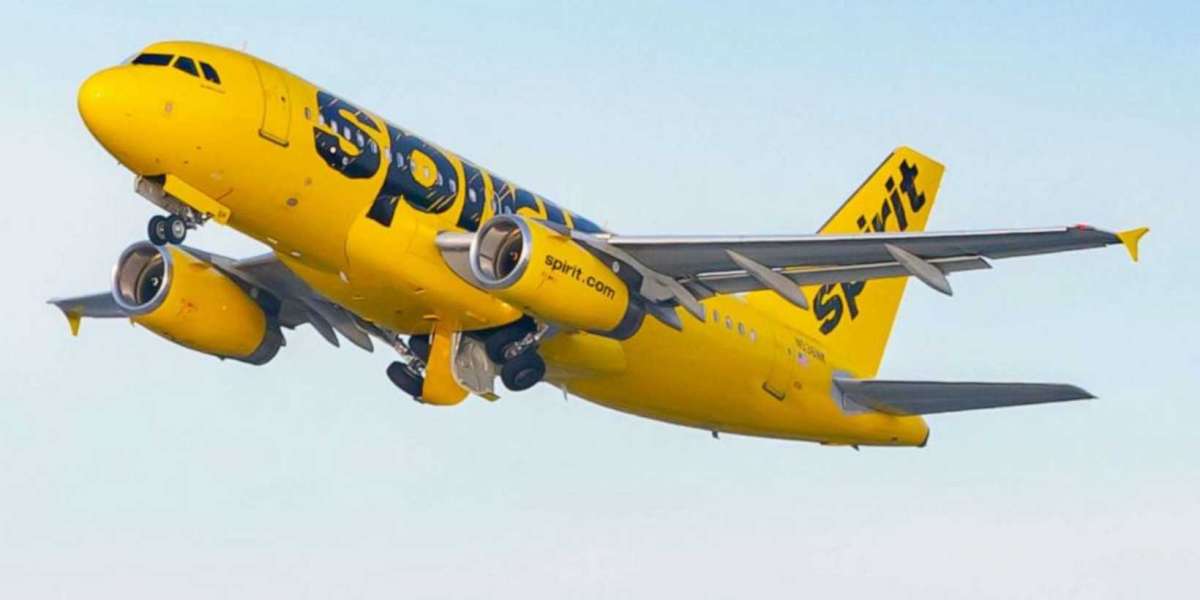 Spirit Airlines Flights