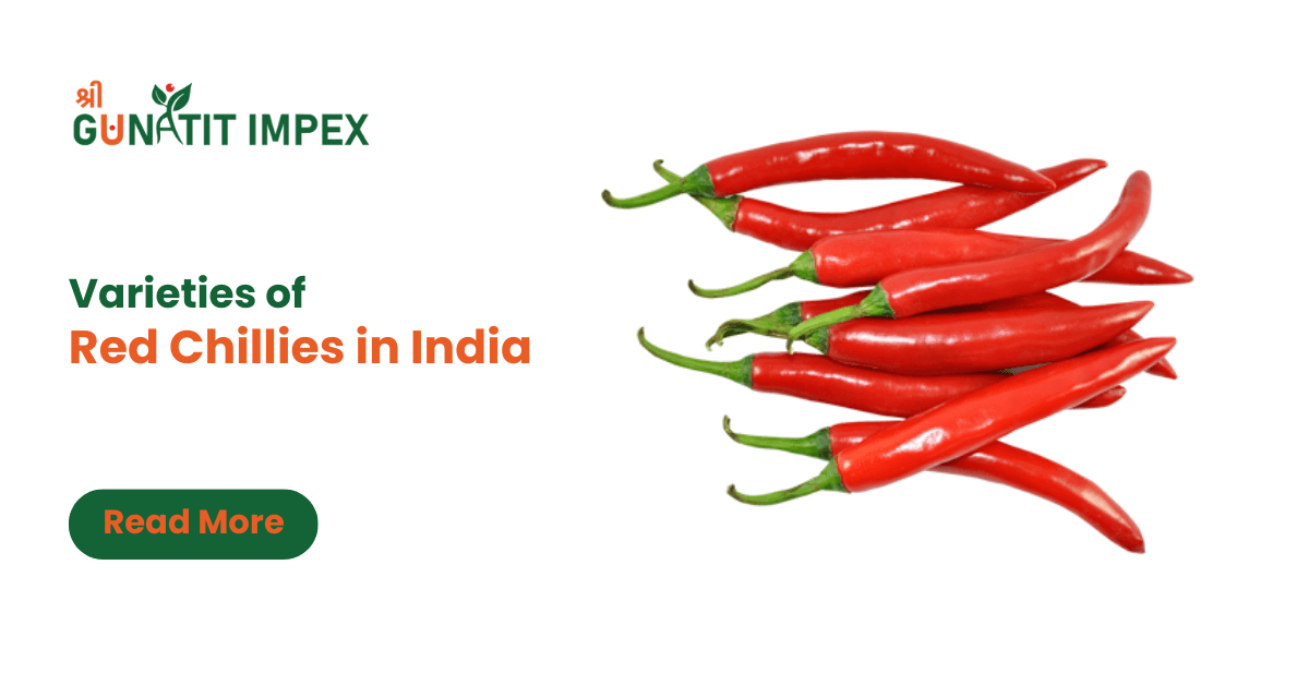 Red Chilli Exporter & Supplier In India - Shree Gunatit Impex