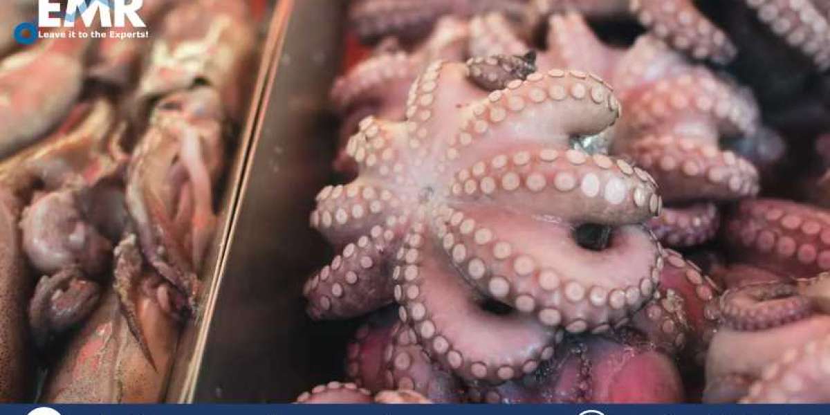 Global Octopus Market Size To Grow At A CAGR Of 1.20% In The Forecast Period Of 2023-2028