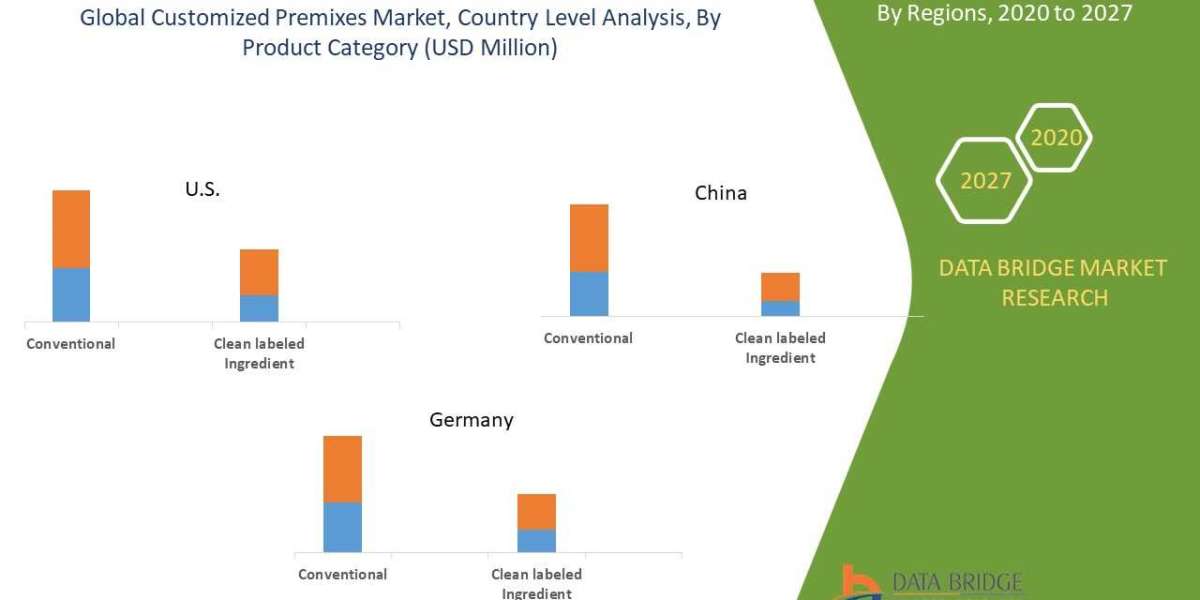 Customized Premixes Market: An Analysis of Key Players, Strategies, and Future Potential