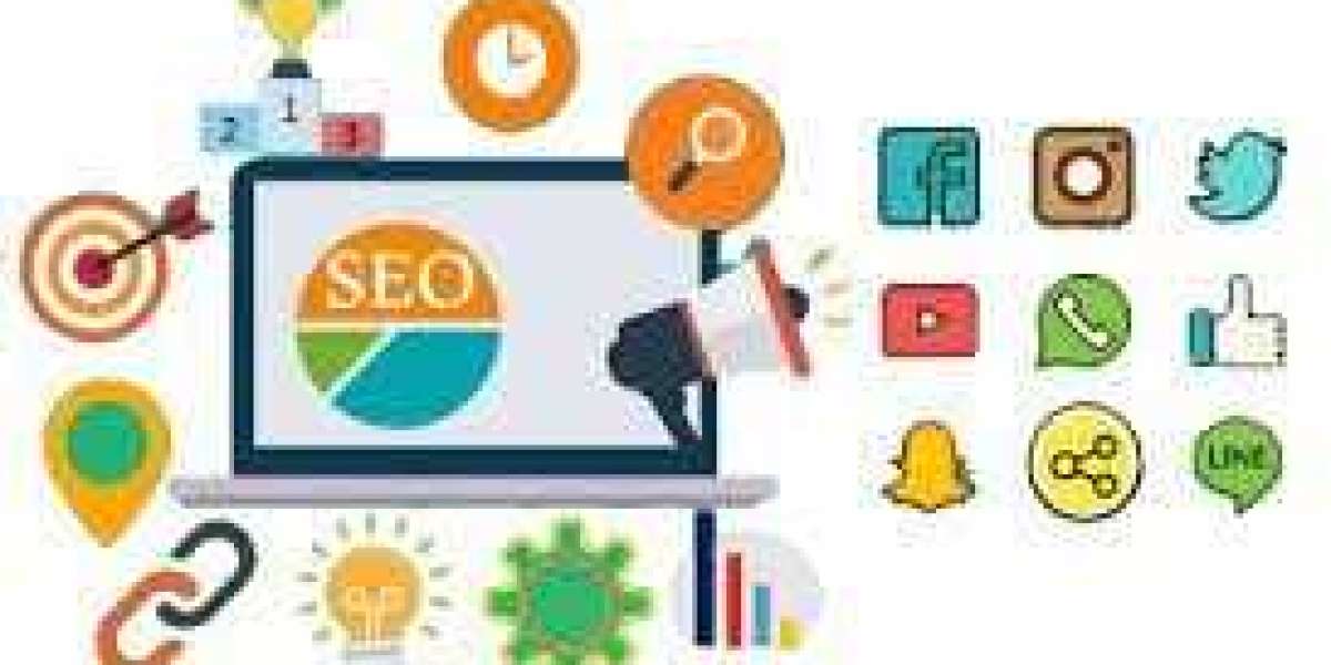 SEO Company In noida