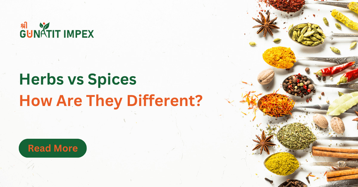 Herbs vs Spices How Are They Different - Shree Gunatit Impex
