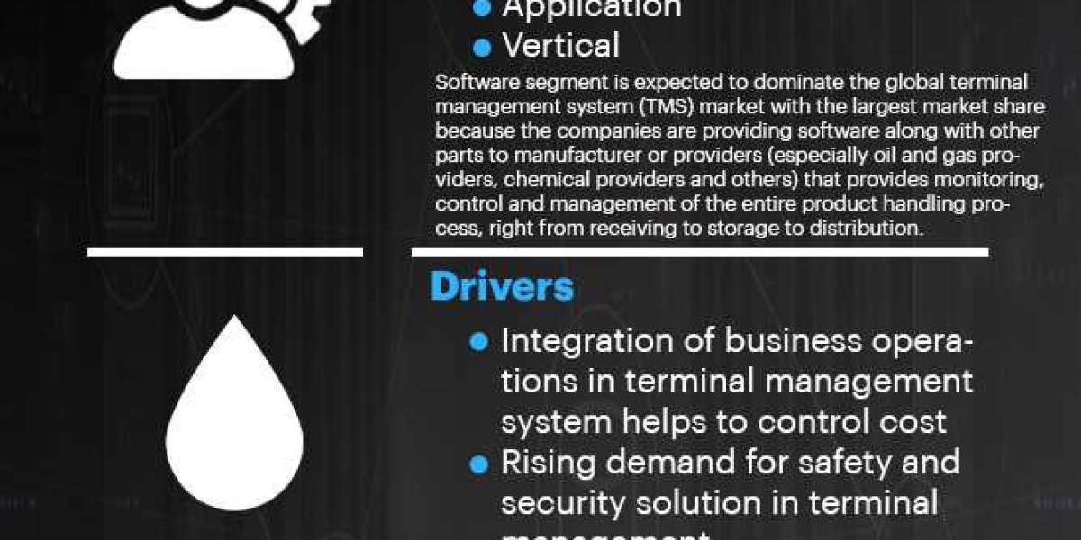 Europe Terminal Management System (TMS) Market - Global Industry Sales, Revenue, Current Trends and Forecast by 2029