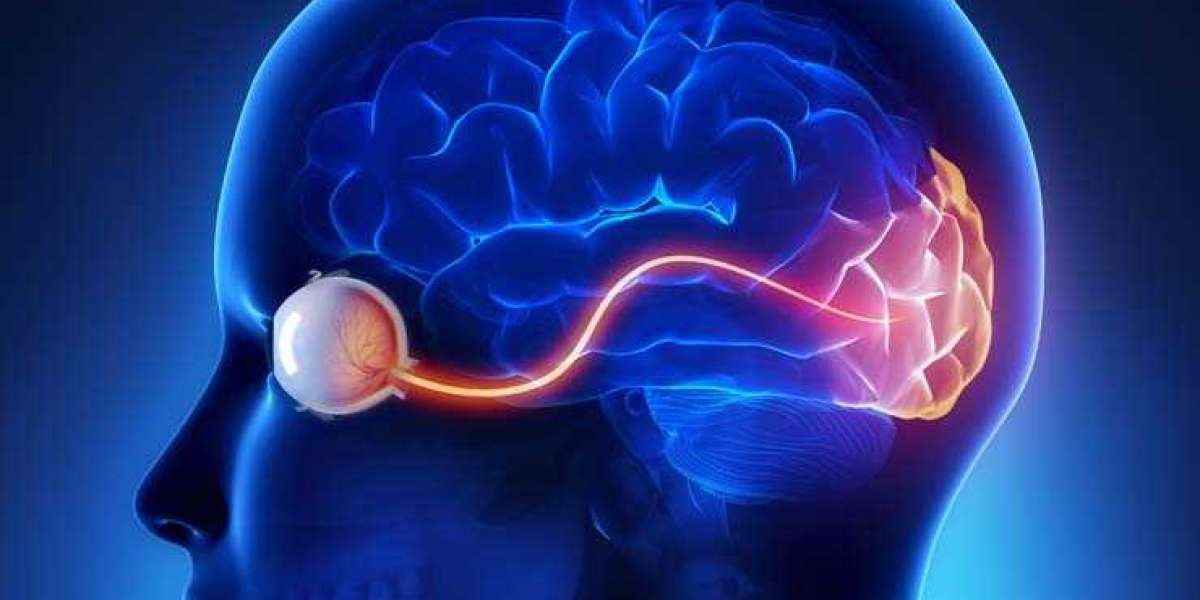 Optic Neuritis Treatment Market Size, Growth, Key Vendors, Trends, Forecast To 2022 to 2031