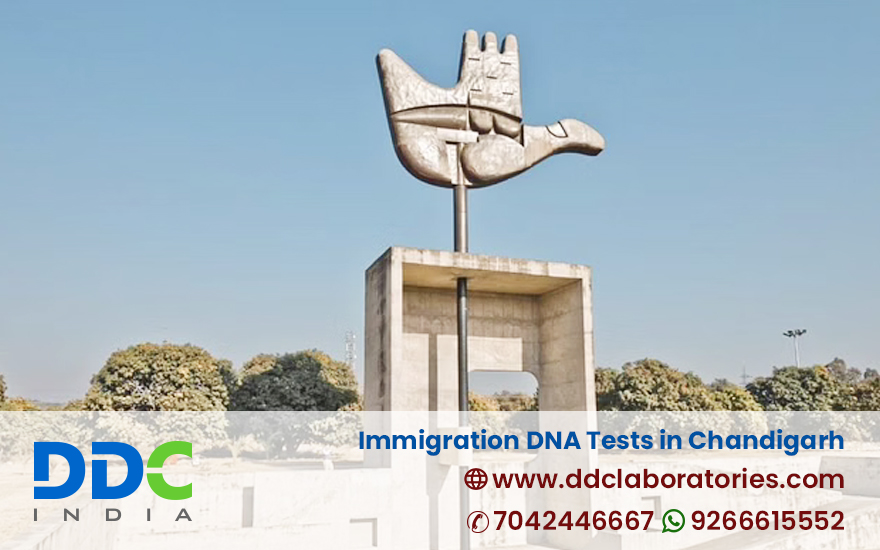 Immigration DNA Tests in Chandigarh - DDC Laboratories India