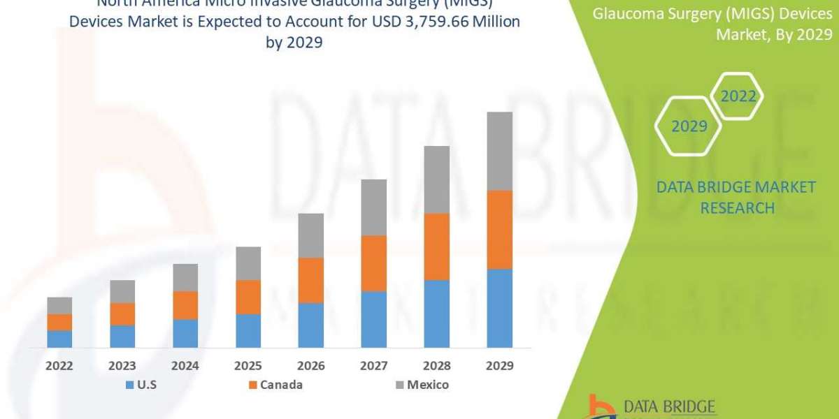 Market opportunity Analysis and Industry report of North America Micro Invasive Glaucoma Surgery (MIGS) Devices Market t