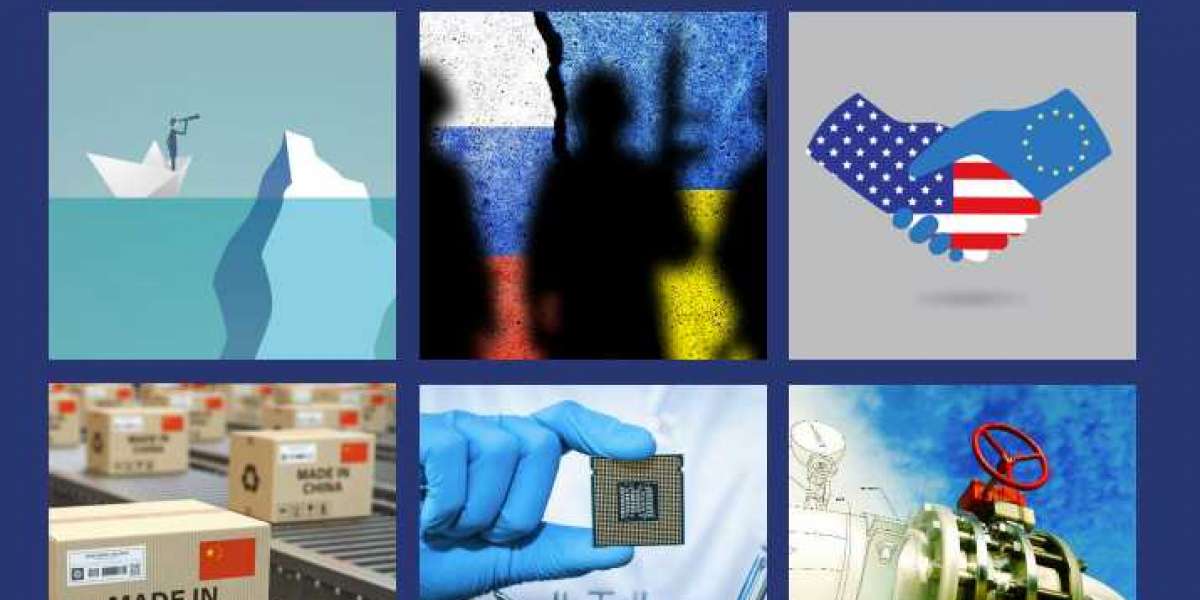 Who are Sanctions Specialists?