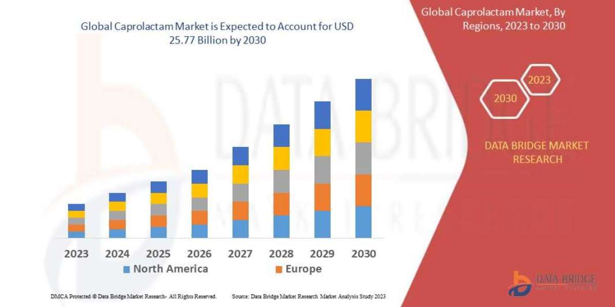 Understanding the Dynamics of the Caprolactam Market: Regional Analysis, Product Segmentation, and Forecast