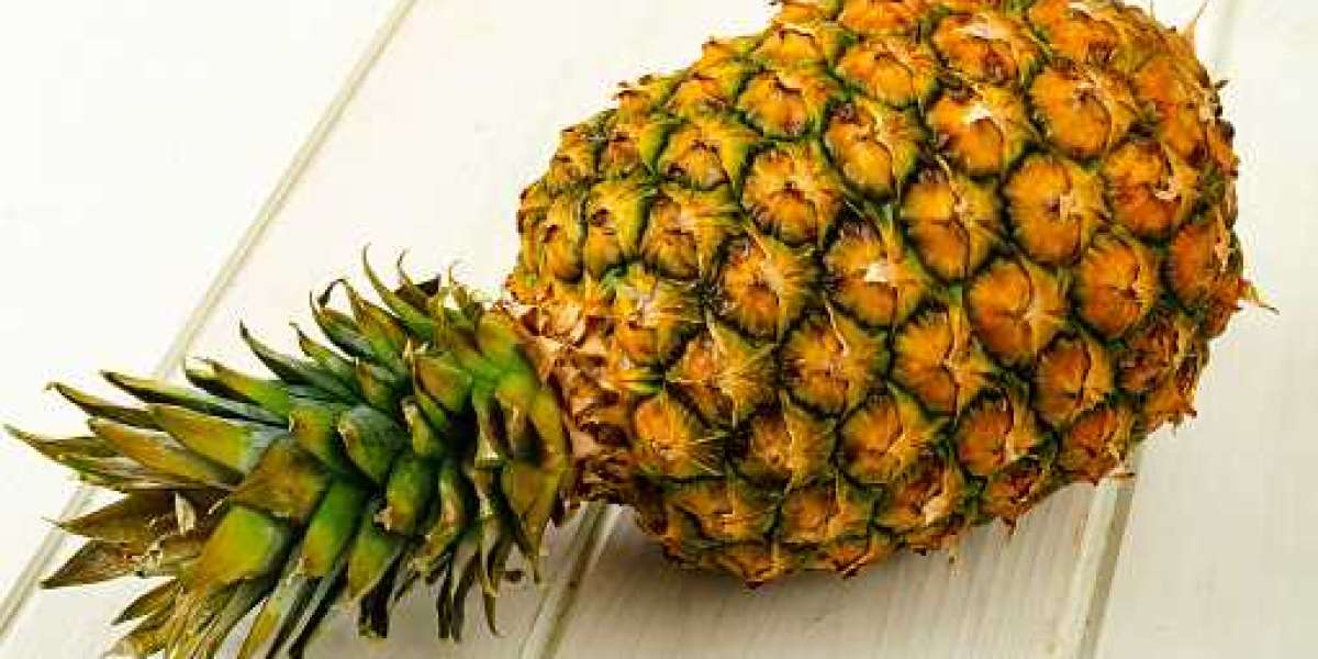 Bromelain Market Share, Segmentation of Top Companies, and Forecast 2030