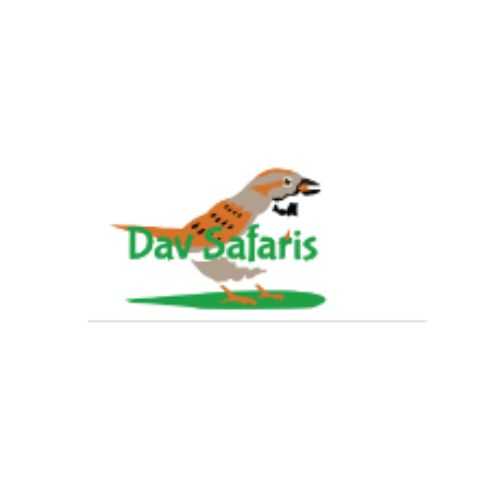 DAV SAFARIS