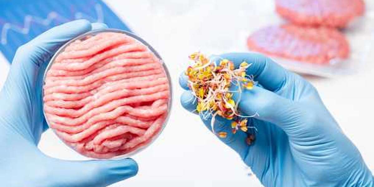 Lab-Based Meat Market: Regional Analysis, Key Players, and Forecast 2030