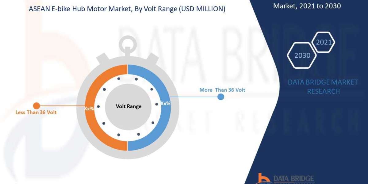 ASEAN E-Bike Hub Motor Market Growth, Strategic Analysis, Scope, Challenges, Segmentation, Drivers, innovation, Forecast