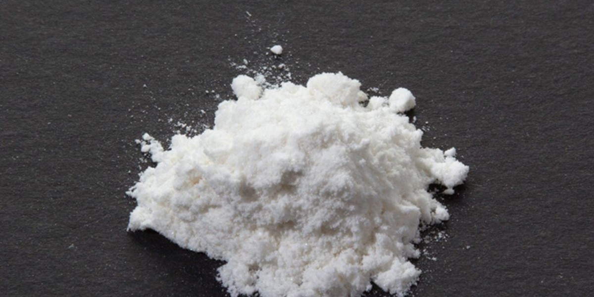 Polyolefin Powder Market Share 2023 Growth and Forecast 2029