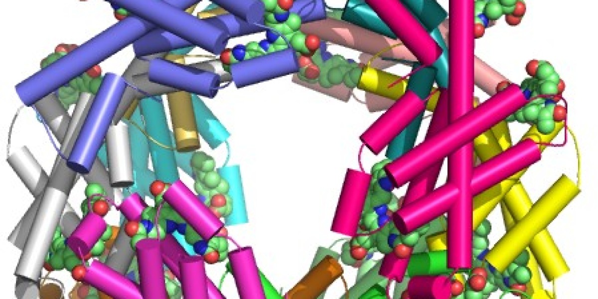 Phycocyanin Market Size, Strategies, Trends and Regional Outlook 2029