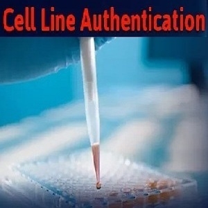 What are the Methods of the Cell Line Authentication Test & why is it Vital?