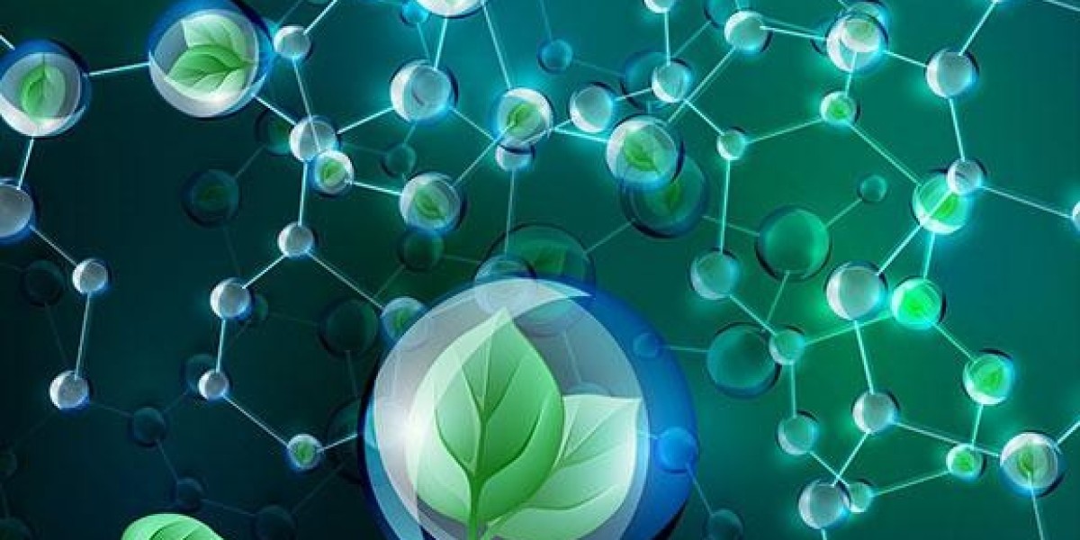 Bio Based Paraxylene Market Share, Trends and Regional Outlook - 2029