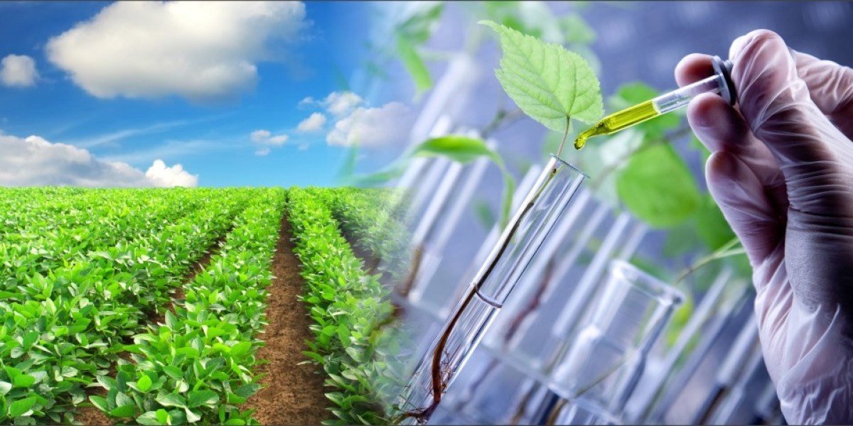 Renewable Chemicals Market Trends, Growth Status and Outlook 2029