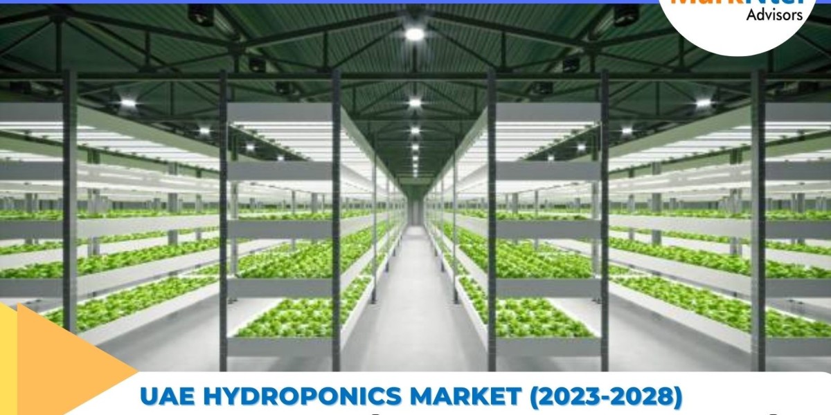 Trending Now Exploring the Latest UAE Hydroponics Market