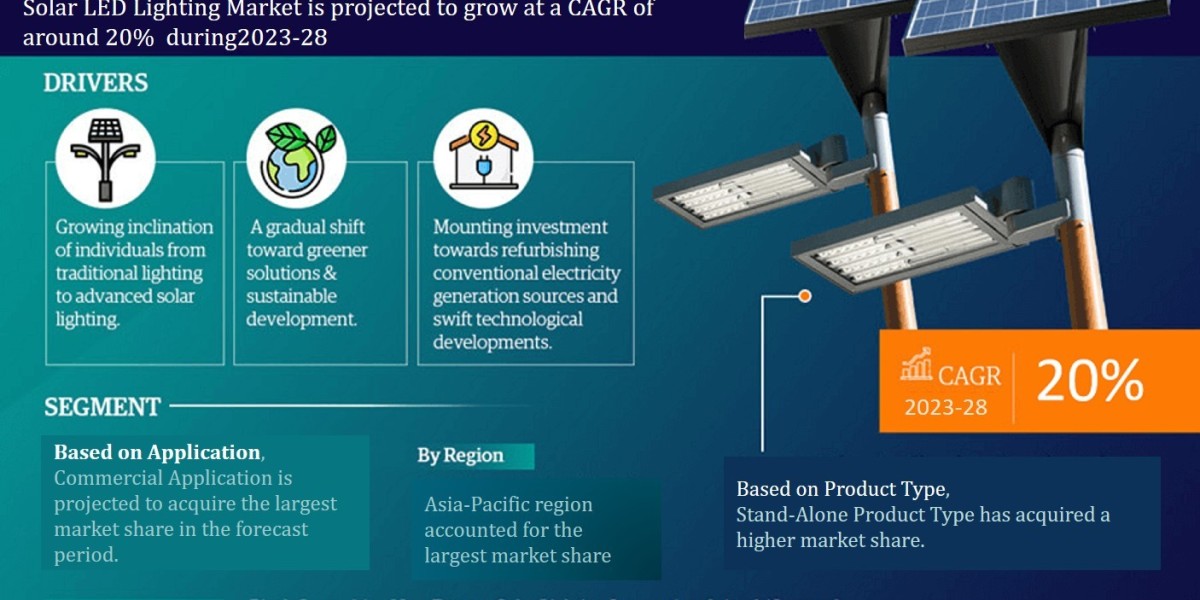 Driving Success in the Global Solar LED Lighting Market