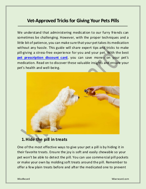 Vet-Approved Tricks for Giving Your Pets Pills